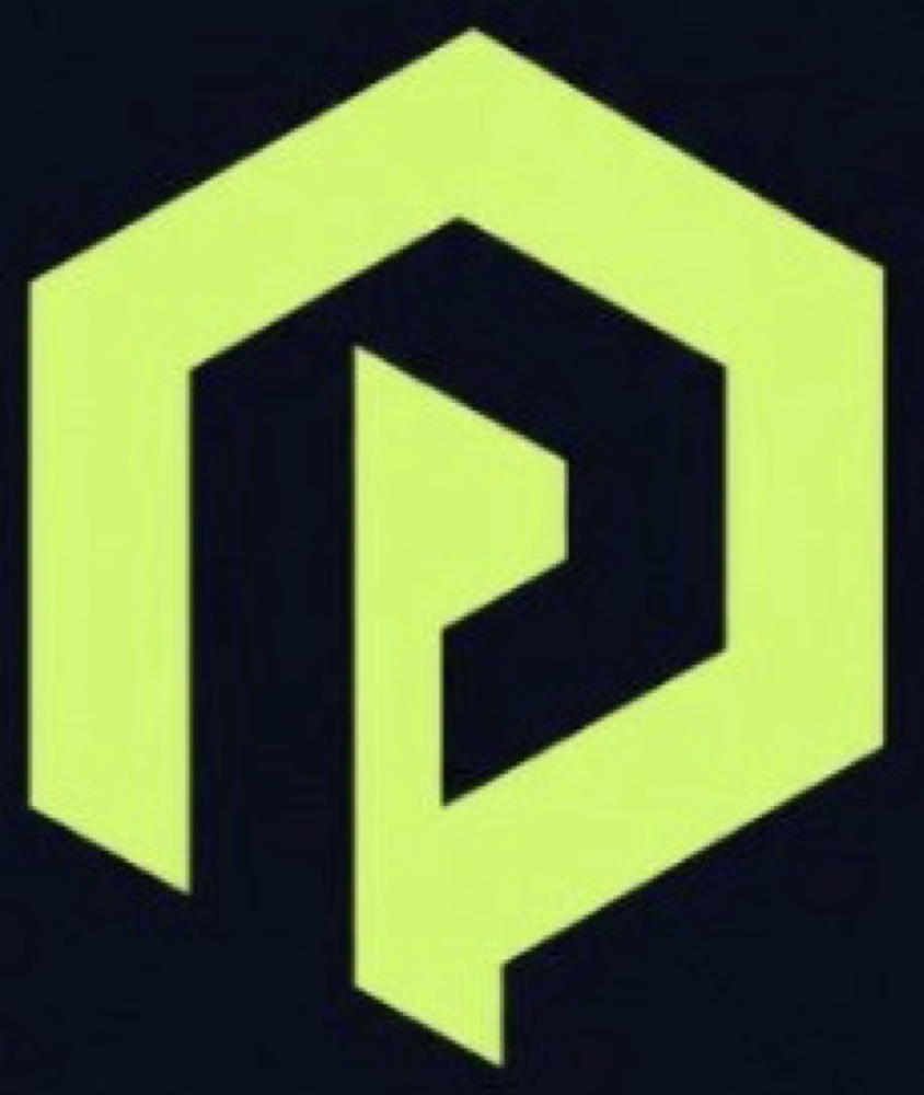 Payload logo